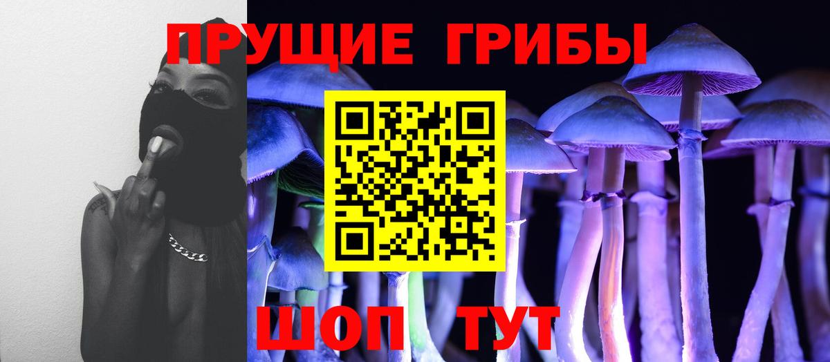 Галлюциногенные грибы мицелий  Вход с VPN  Салават  Галлюциногенные грибы Psilocybine cubensis 