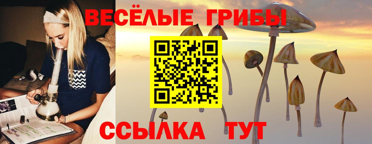 Галлюциногенные грибы Psilocybine cubensis Салават